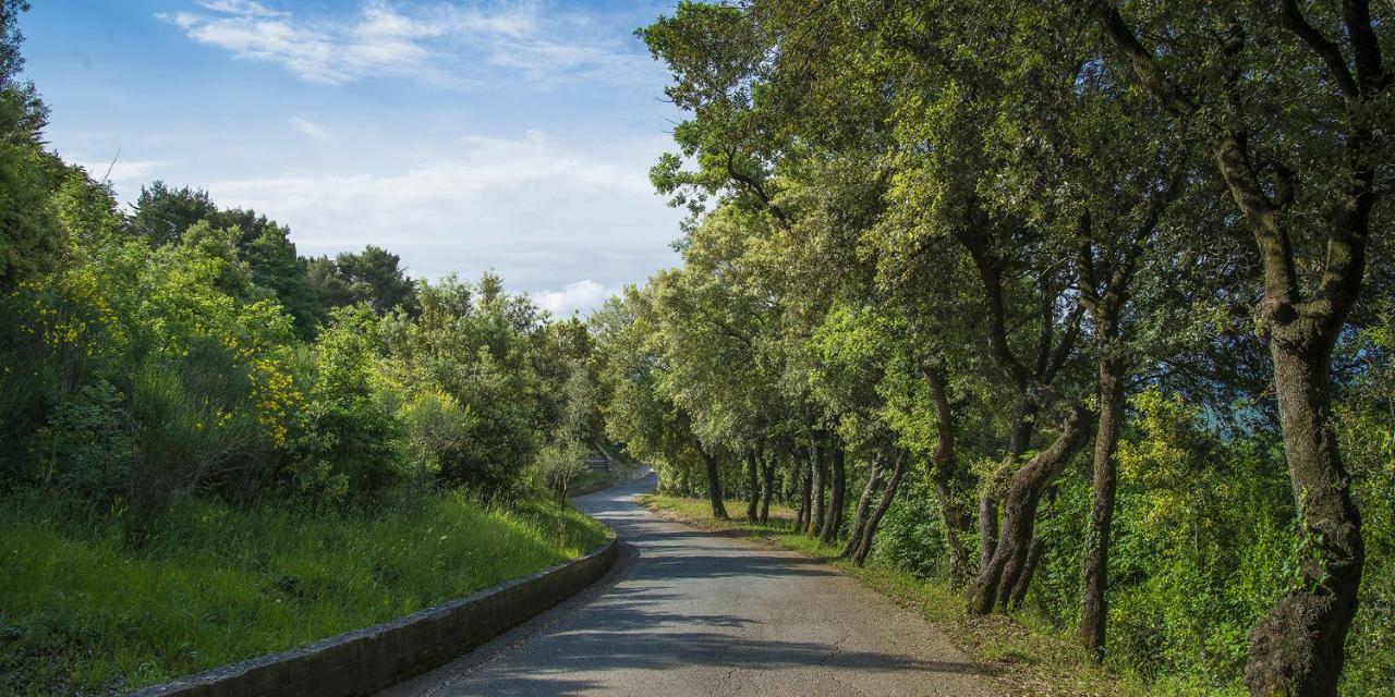 Relais I Piastroni - Hotel Di Nardo Group Monteverdi Marittimo Esterno foto